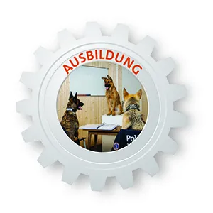DACH - Ausbildung