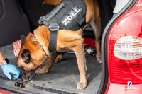 Internationale Zusammenarbeit – Umfangreiche Polizei- und Zolloperation im Grenzgebiet zwischen Belgien, Deutschland und den Niederlanden 