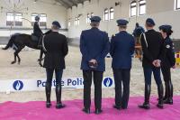 Buurlanden trainen toekomstige politiepaarden samen