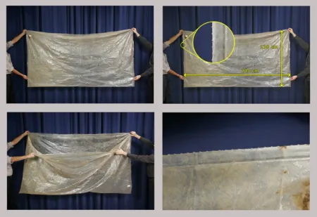 Sac en plastic