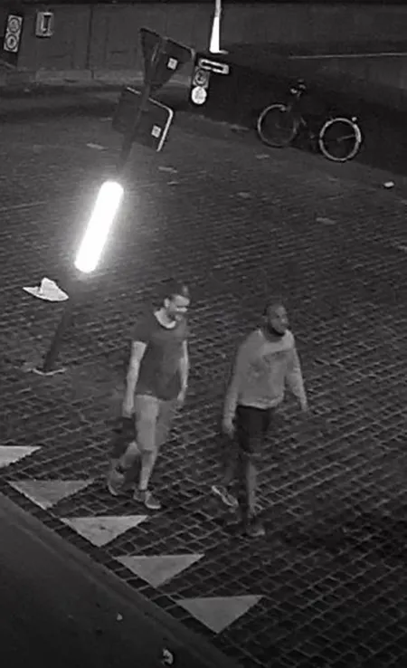 Opzettelijke slagen en verwondingen tijdens de Gentse feesten