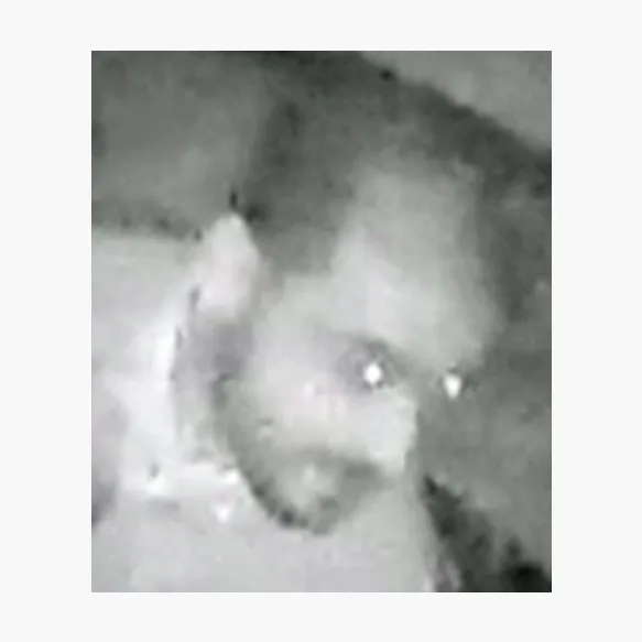 Home invasion à Anderlecht