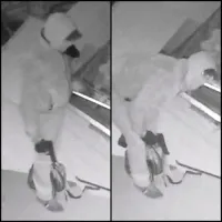 Home invasion à Anderlecht