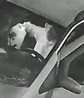 Carjacking et vol au bélier à Genk