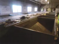 TIENEN3