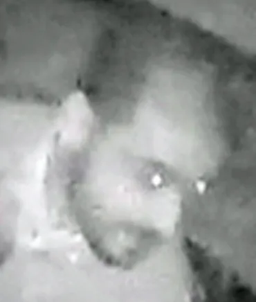 Home invasion à Anderlecht